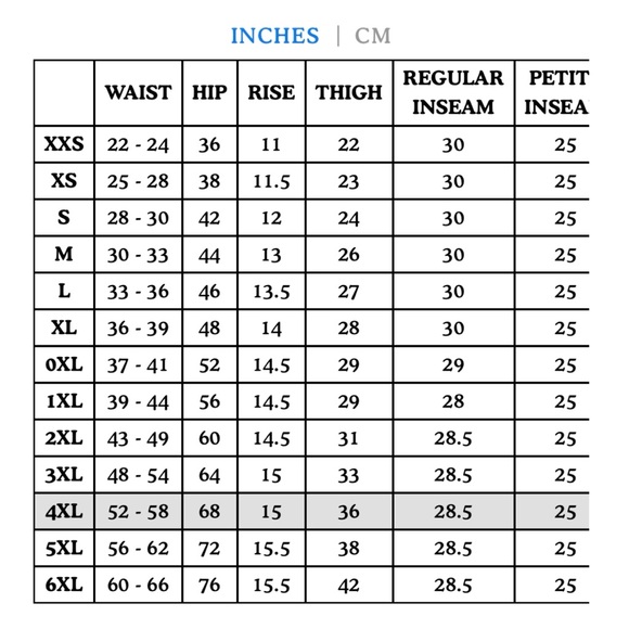 Big Bud Press Western Pants | Size M | Blue Stripe - Picture 10 of 11